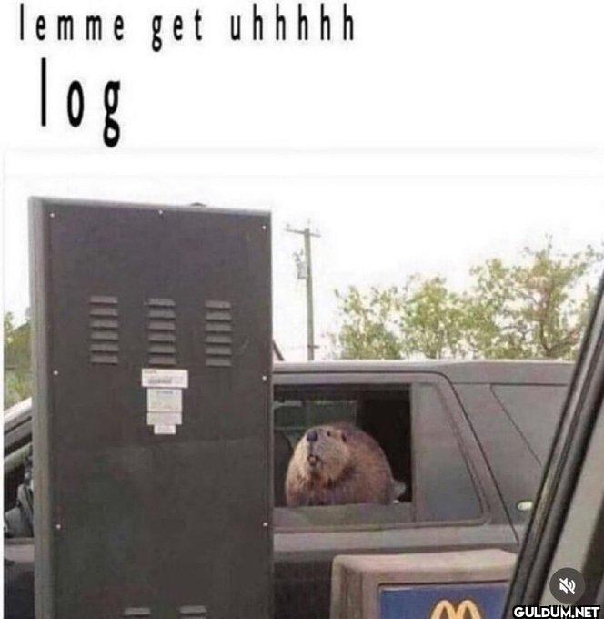 E W 801 lemme get uhhhhh