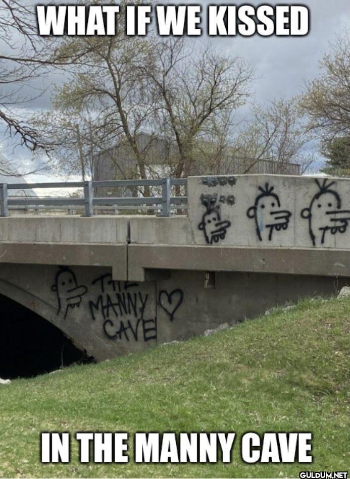 WHAT IF WE KISSED THE...