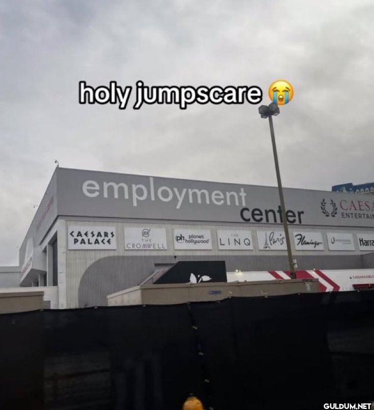 holy jumpscare employment...