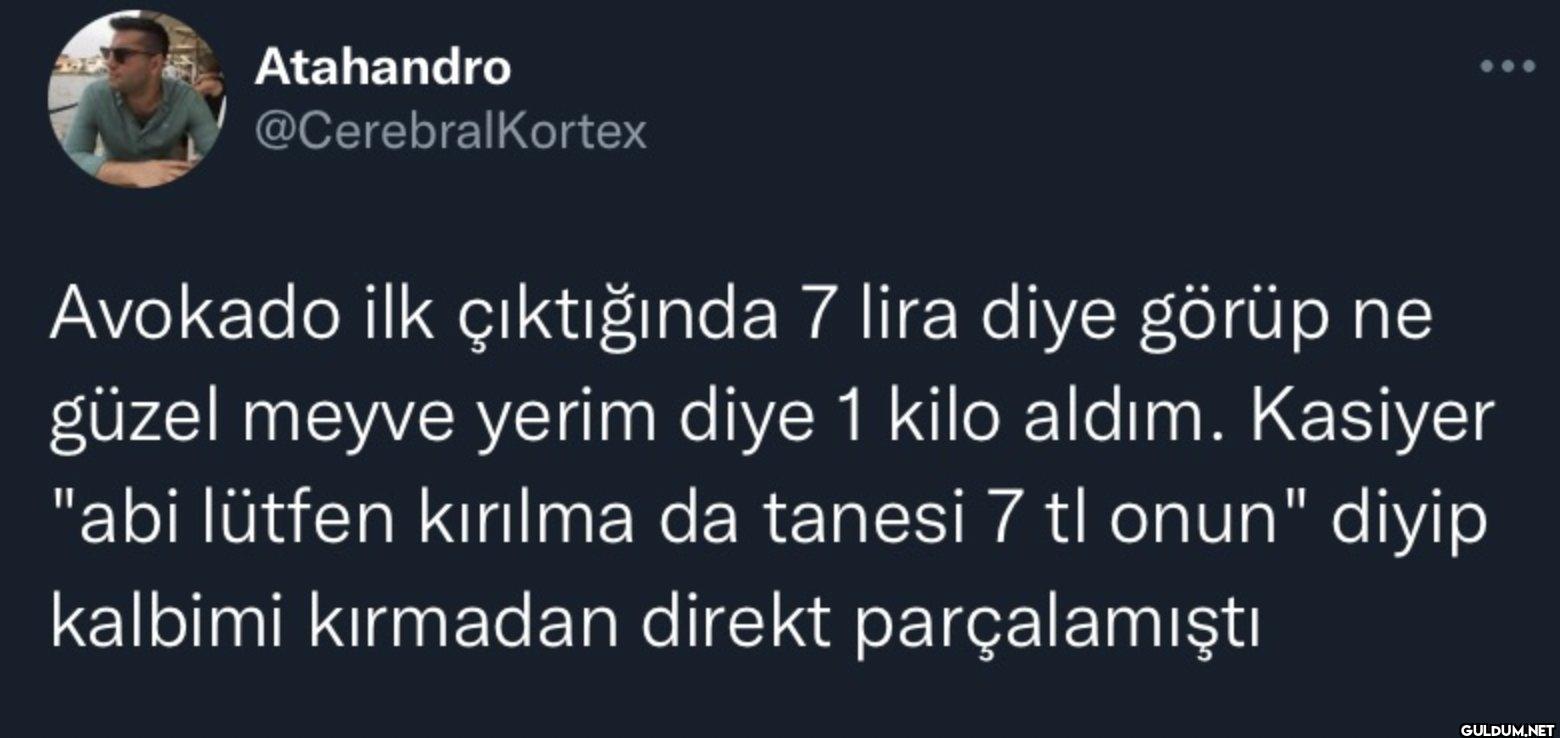 Avokado ilk çıktığında 7...
