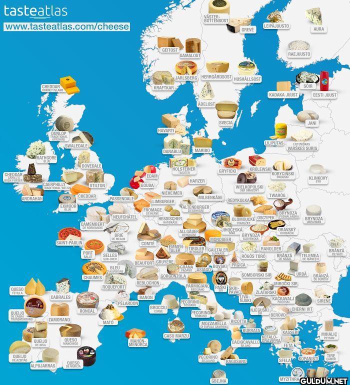 24. Cheese Map Of Europe  ...
