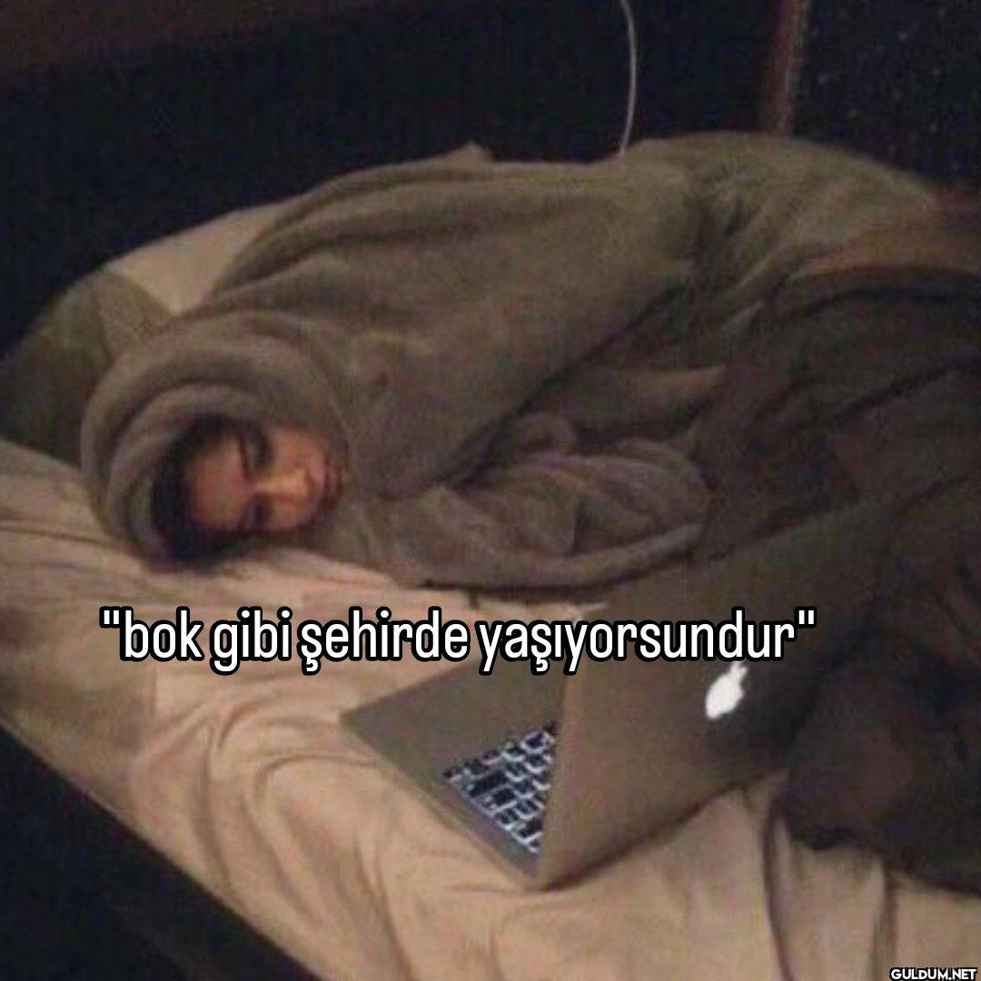 "bok gibi şehirde yaşıyorsundur"