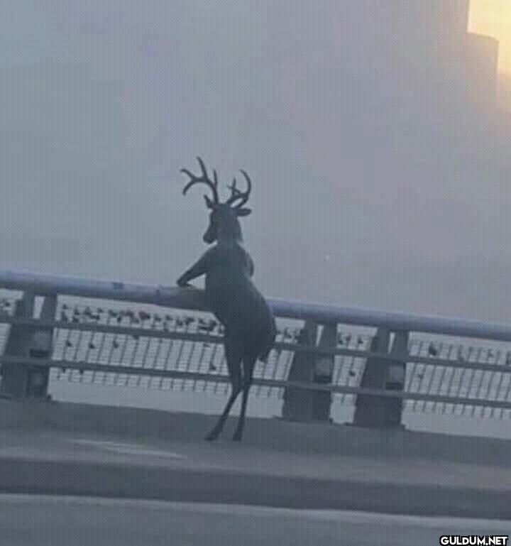 idk what he going through...