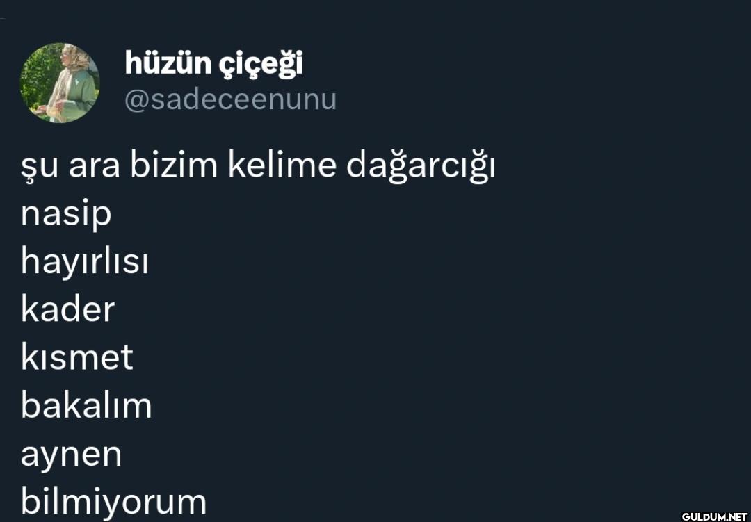 şu ara bizim kelime...