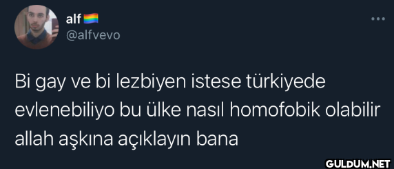 Bi gay ve bi lezbiyen...