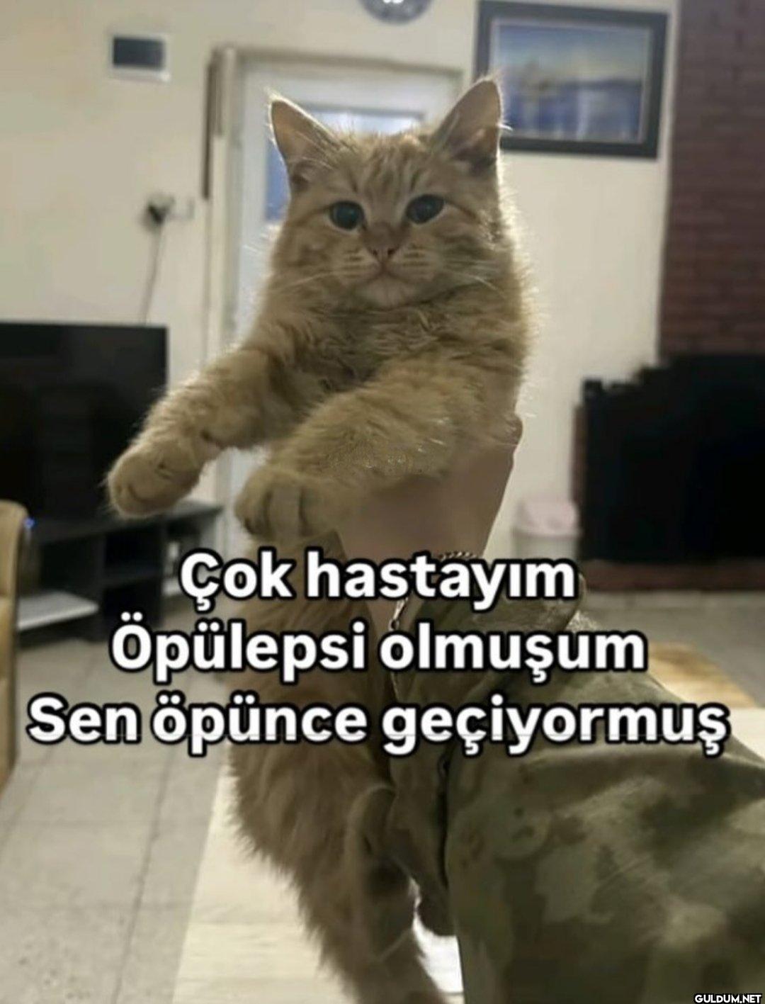 Çok hastayım Öpülepsi...