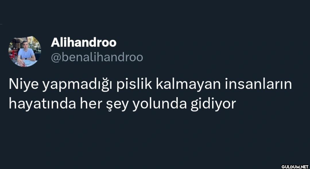 Niye yapmadığı pislik...