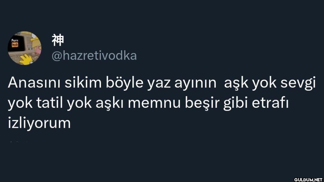 Anasını sikim böyle yaz...