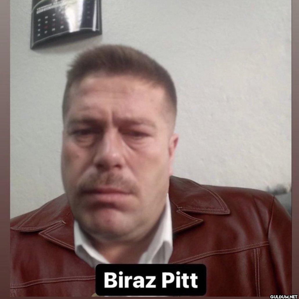 Biraz Pitt