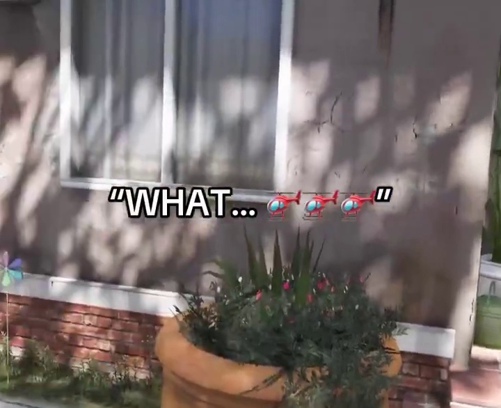 Thumbnail for 