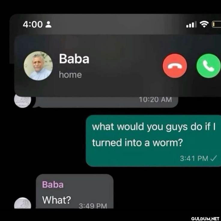 Baba home what would you...