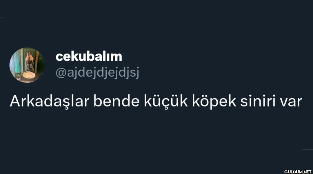 Arkadaşlar bende küçük...