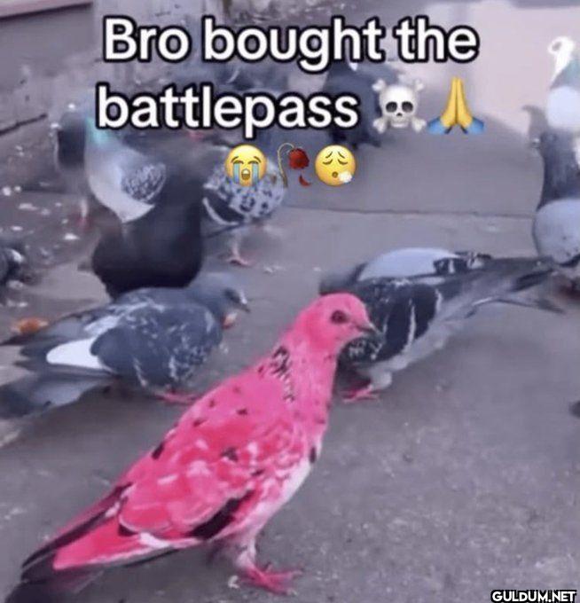 Bro bought the battlepass