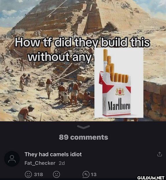 How tf did they build this...