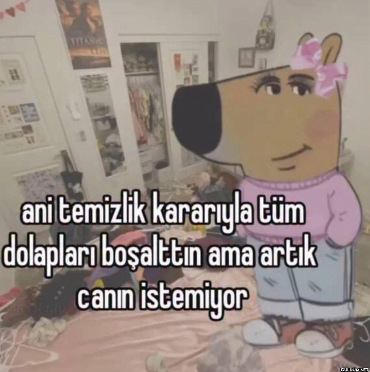 LV TITANIC ani temizlik...