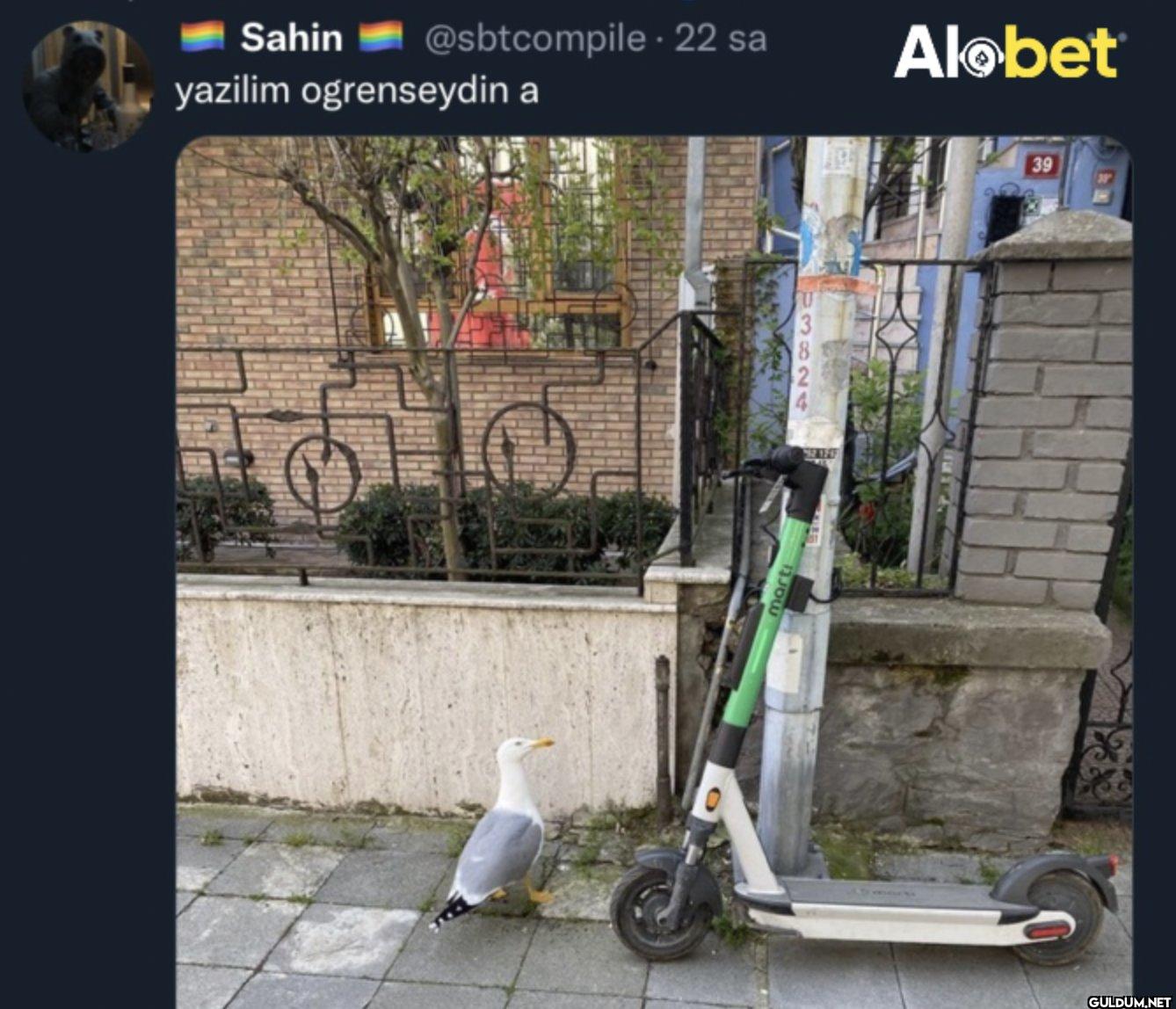 22 sa yazilim ogrenseydin...