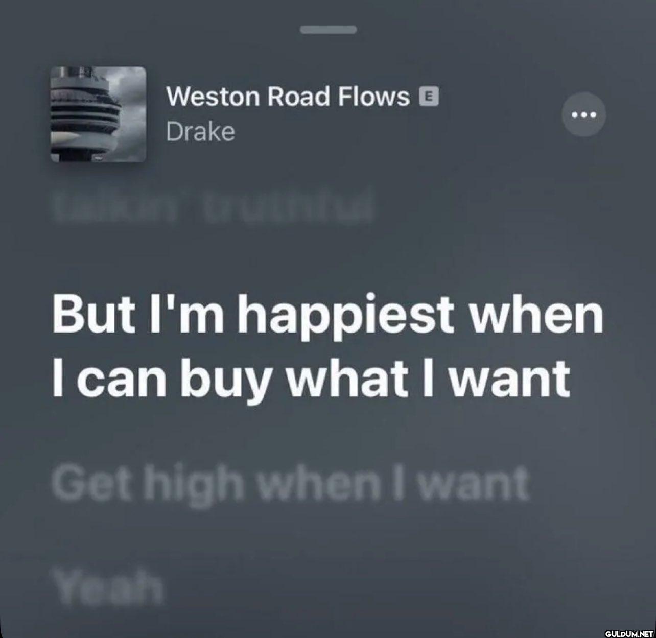 fr    Weston Road Flows E...