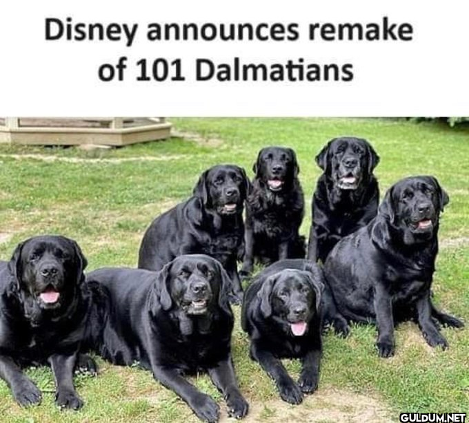 I wouldn't be surprised.  ...