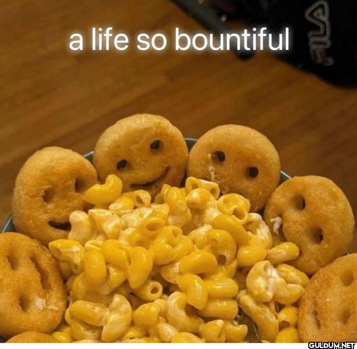 ︎ ︎    a life so bountiful FILA