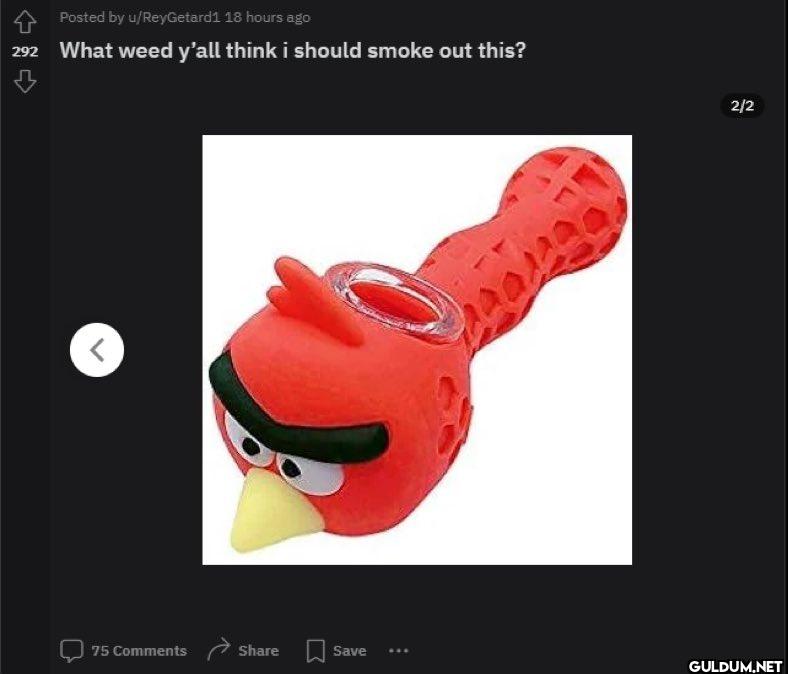 Posted by u/ReyGetard1 18...