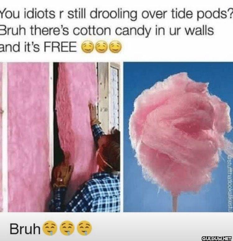 You idiots r still...