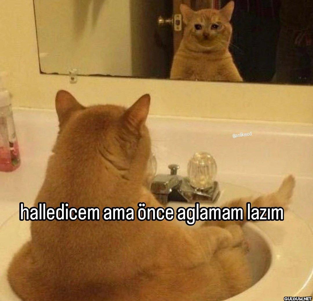 Canlikmod halledicem ama...