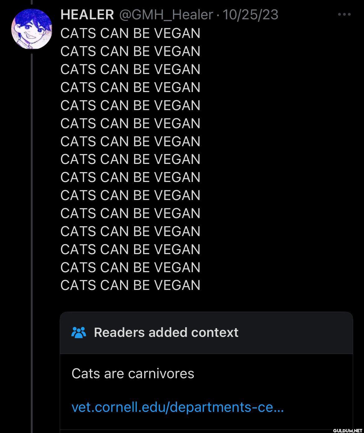 10/25/23 CATS CAN BE VEGAN...