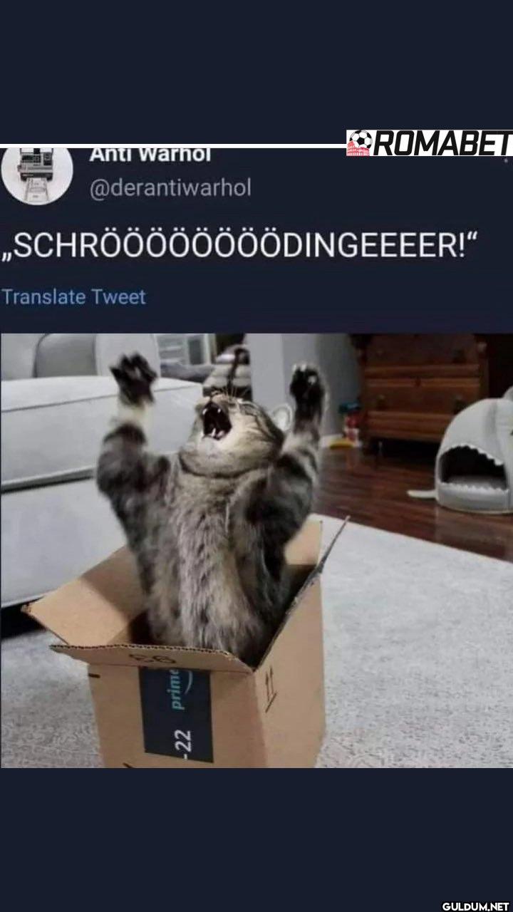 „SCHRÖÖÖÖÖÖÖÖDINGEEEER!"...