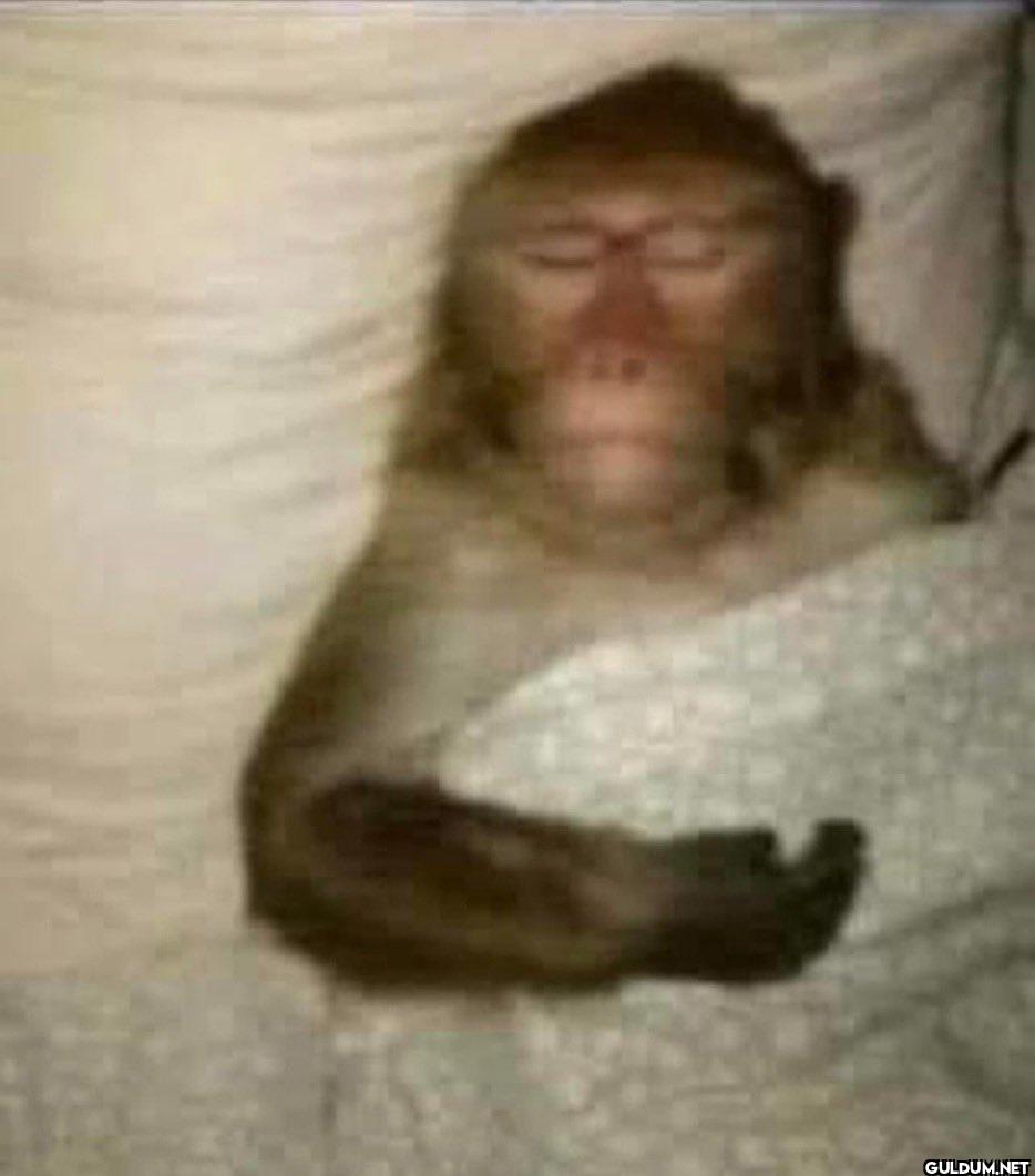 me after saying i just...