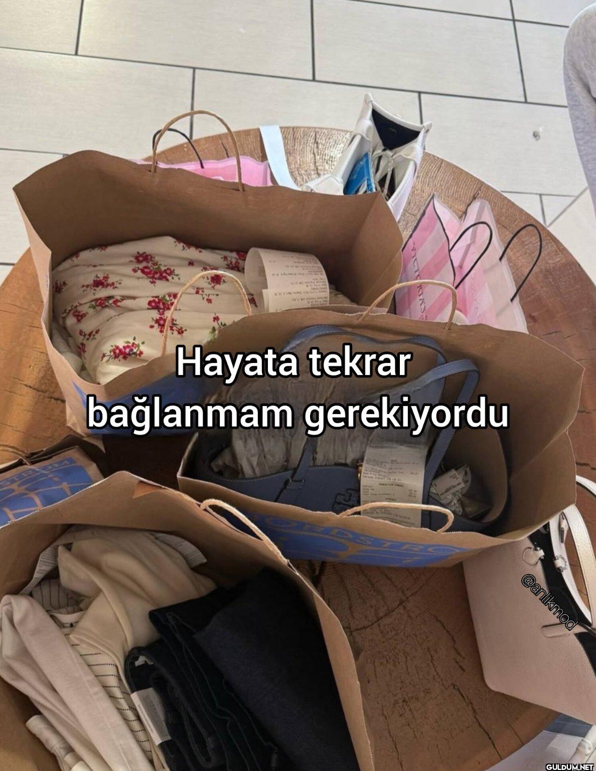 Hayata tekrar bağlanmam...