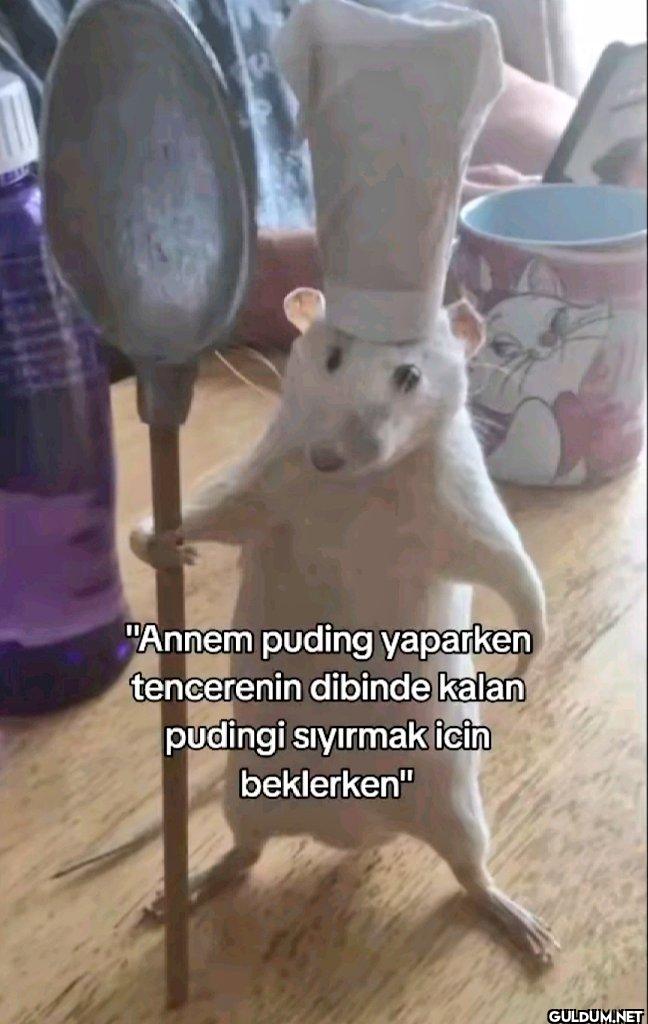 "Annem puding yaparken...