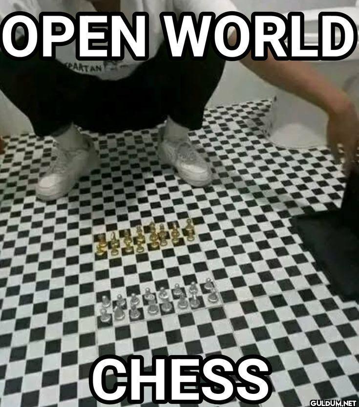 OPEN WORLD CHESS