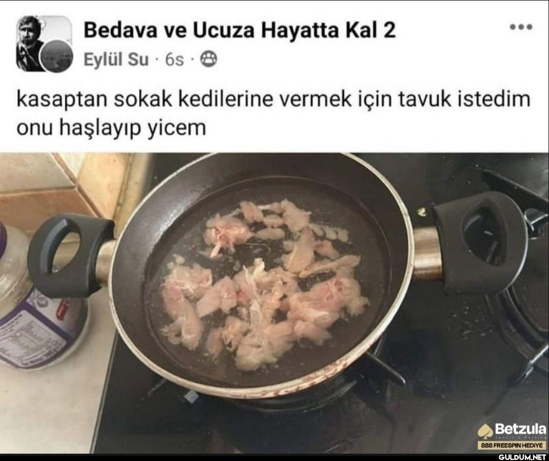 Bedava ve Ucuza Hayatta...