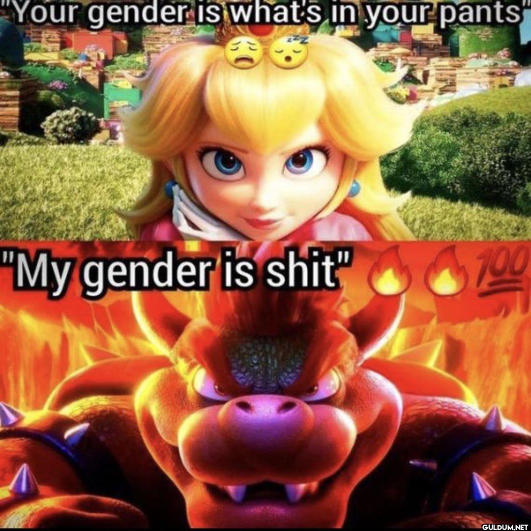 "Your gender is what's in...