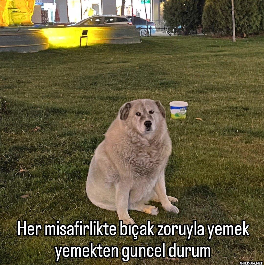 Her misafirlikte bıçak...