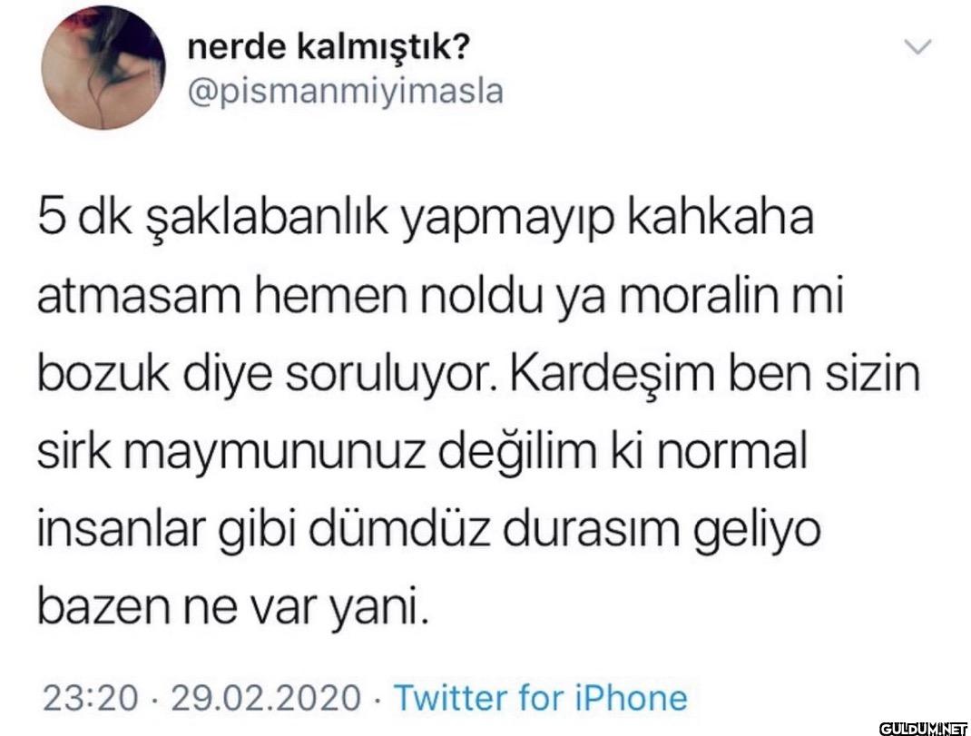 5 dk şaklabanlık yapmayıp...