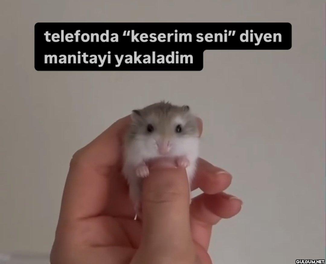 telefonda "keserim seni"...