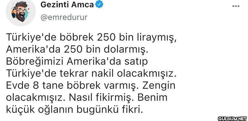 Türkiye'de böbrek 250 bin...