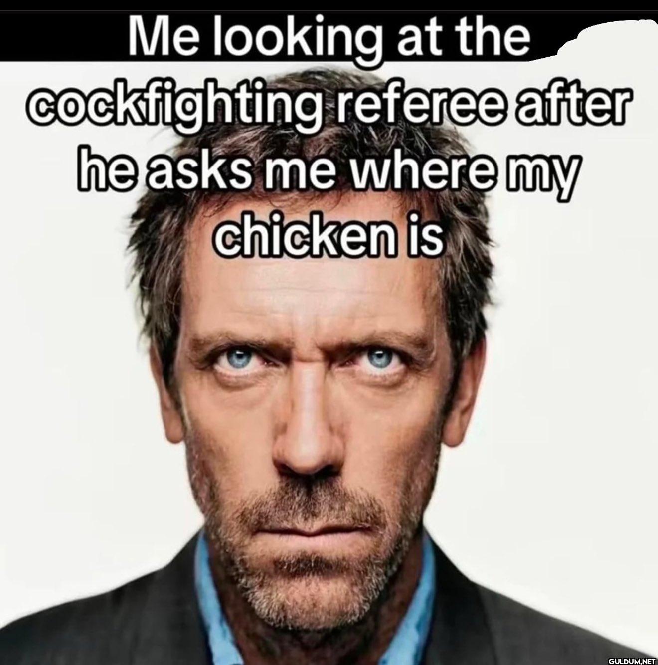 Me looking at the...