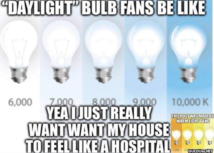 "DAYLIGHT” BULB FANS BE...