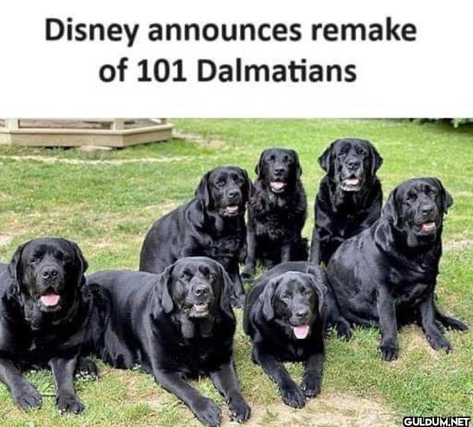 Wouldn't be surprised if...