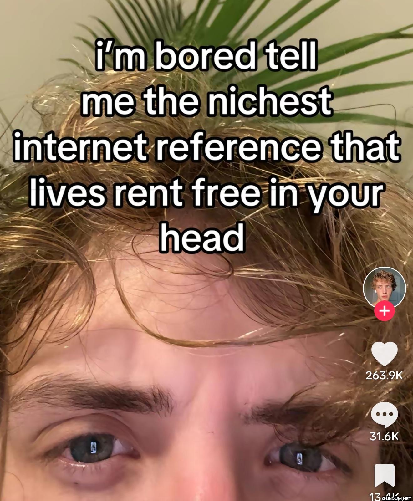 i'm bored tell me the...