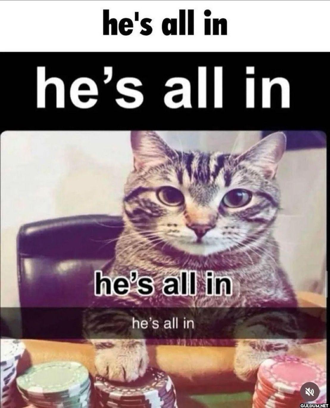 he's all in he's all in...