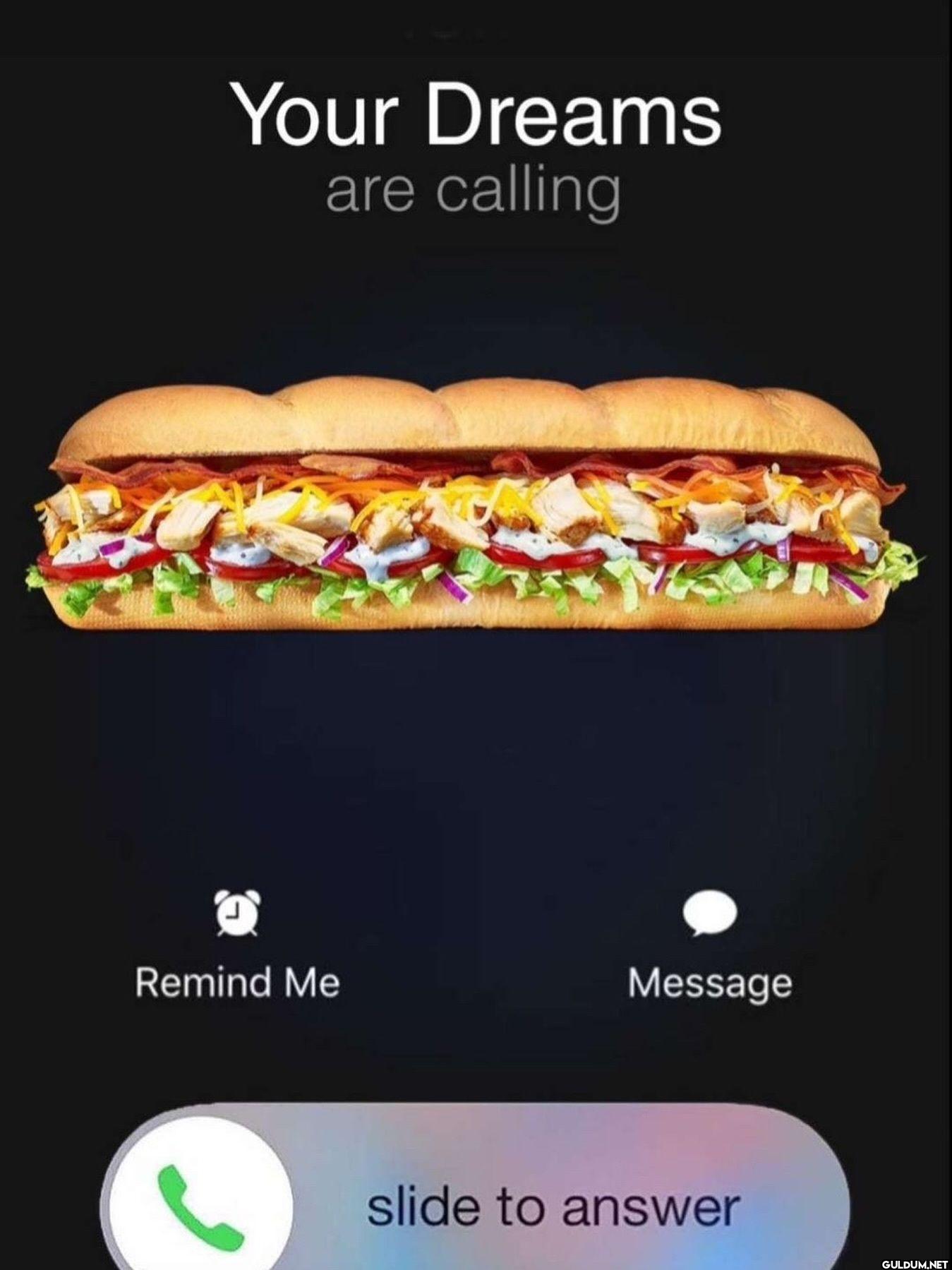 Your Dreams are calling...
