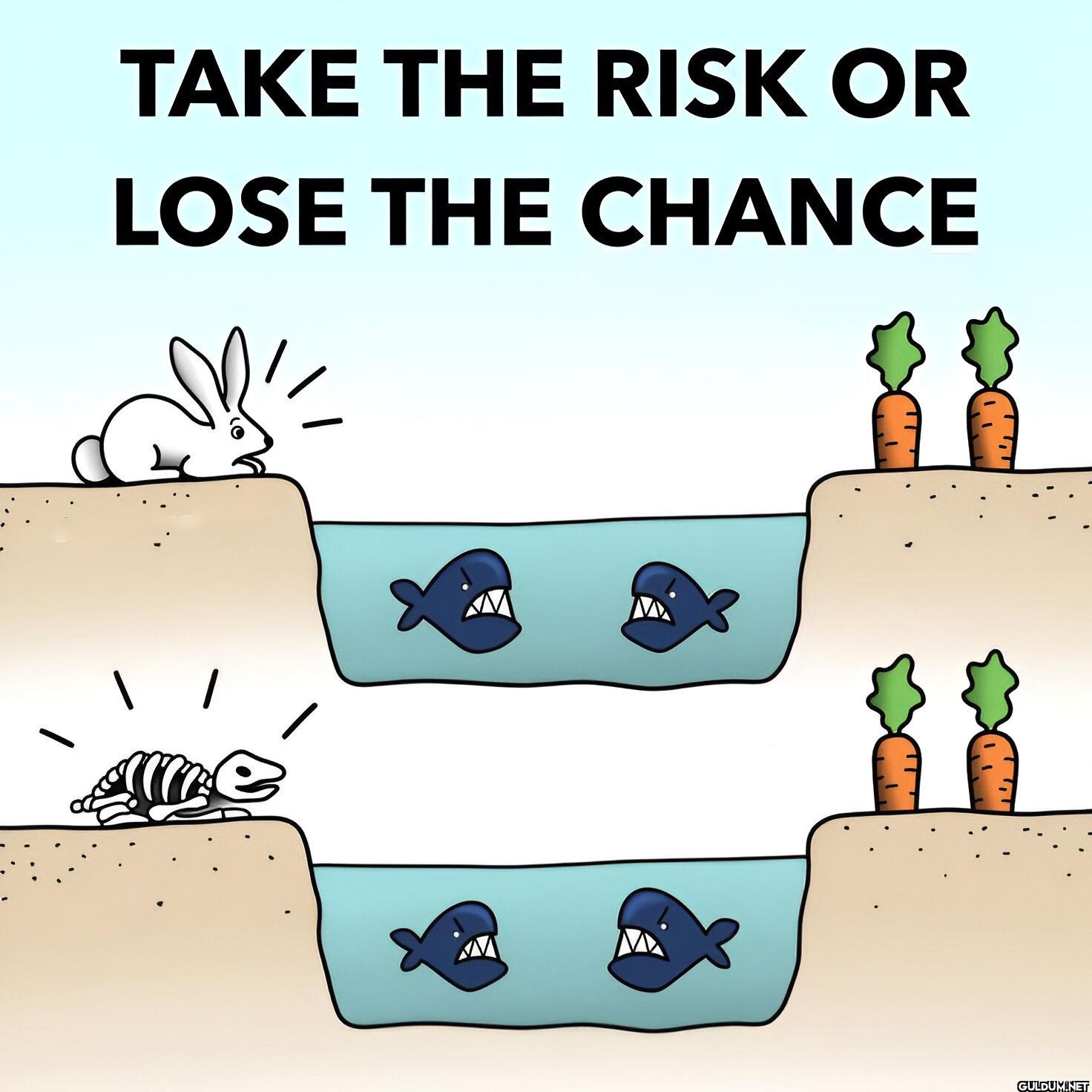 4.    TAKE THE RISK OR...