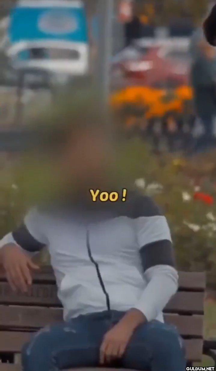 Yoo !    a Yoo!