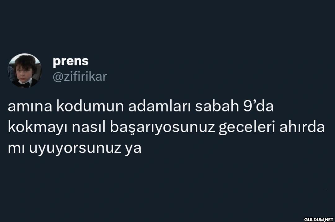 amına kodumun adamları...