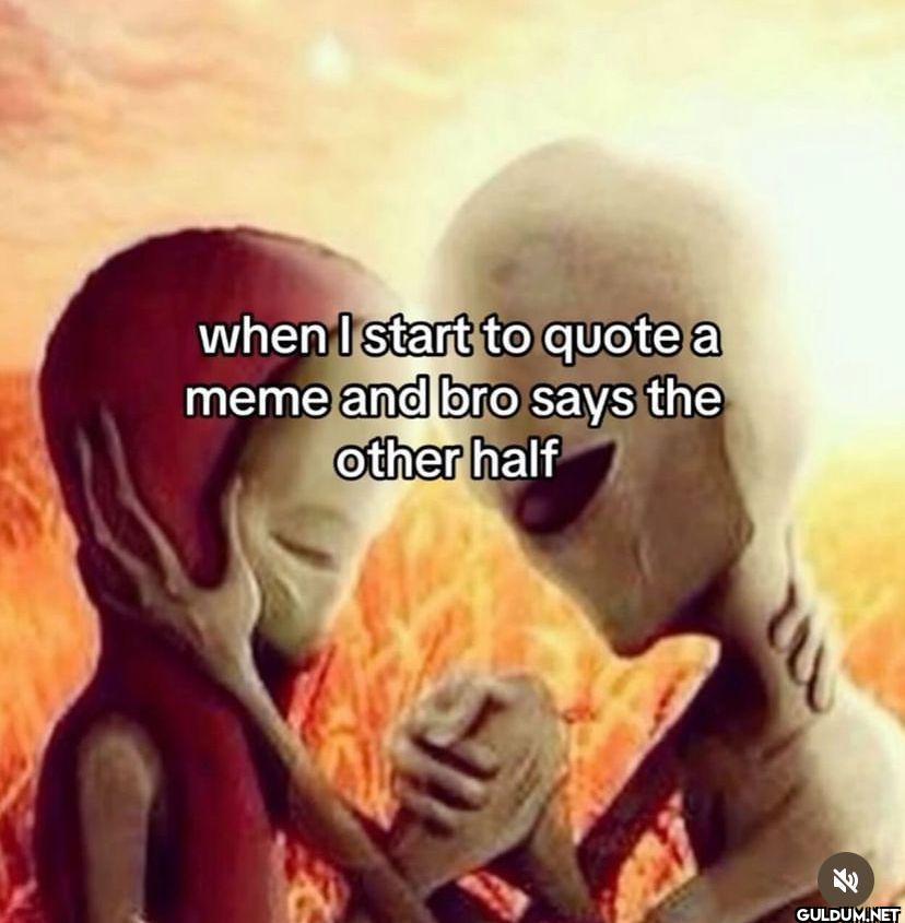 when I start to a meme and...