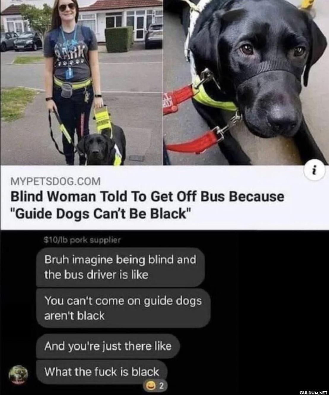 MYPETSDOG.COM Blind Woman...