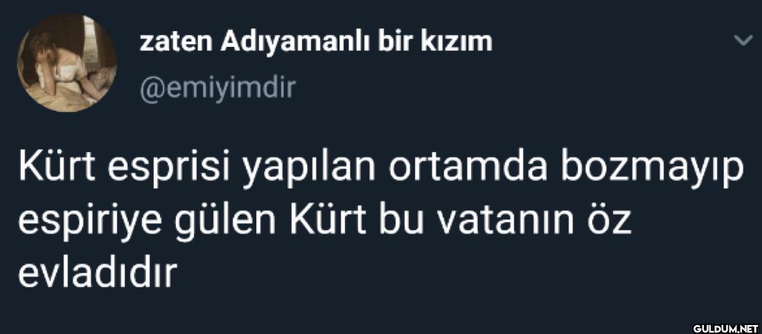 Kürt esprisi yapılan...